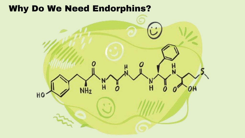 Why Do We Need Endorphins